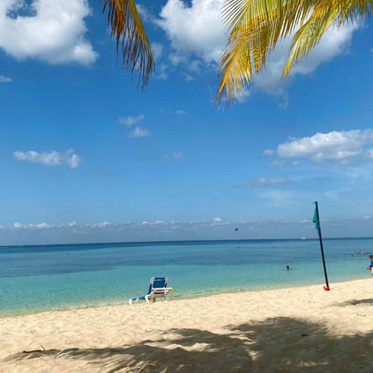 Stylish studio on the 5th Ave of Playa del Carmen - Studio Apartment - 58
