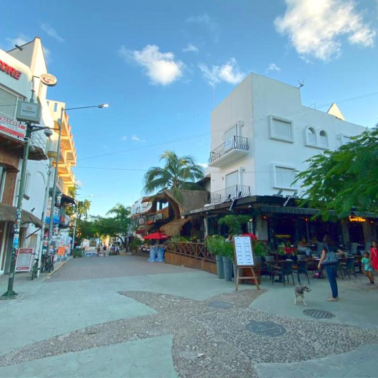 Stylish studio on the 5th Ave of Playa del Carmen - Studio Apartment - 48
