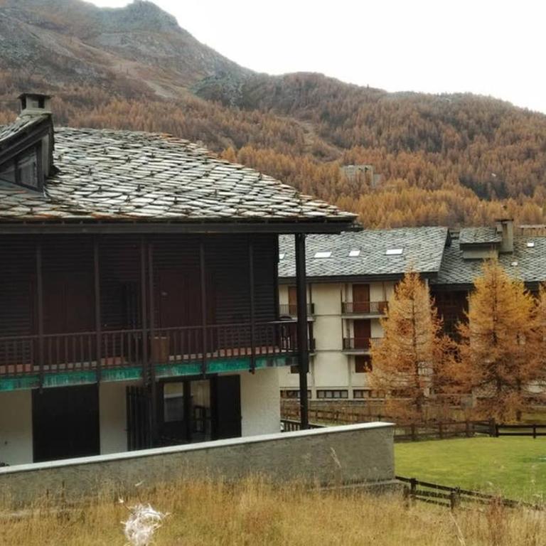 Ski chalet Cervinia MARTINO - Apartment - 11