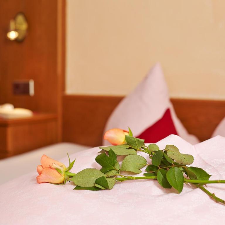 Fremdenpension Alpenruhe - Doppelzimmer - 3