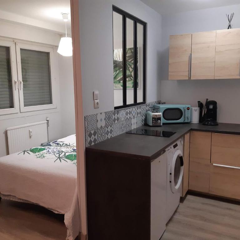 Jungle - Appartement 1 Chambre - 7