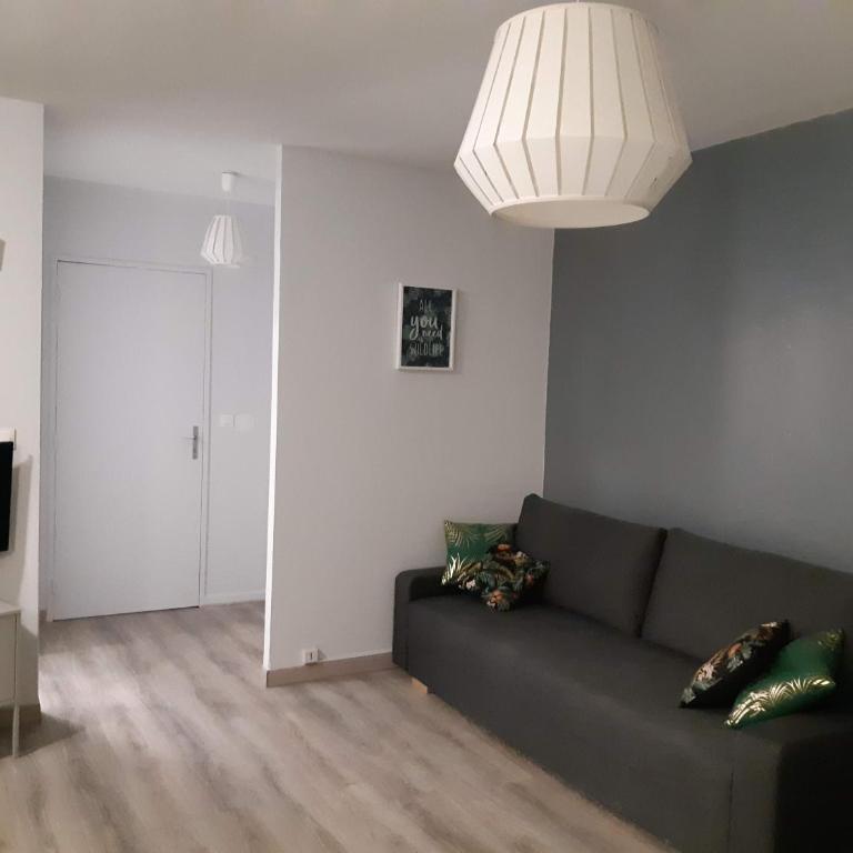Jungle - Appartement 1 Chambre - 16