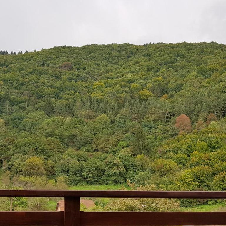 Villa Vrelo Bosne - Deluks Vila - 12