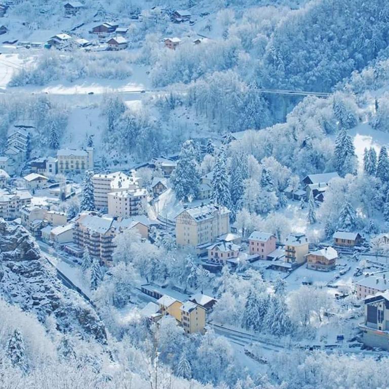 Pensée Des Alpes 2 Etoiles Ski and Spa - Appartement 1 Chambre - 13
