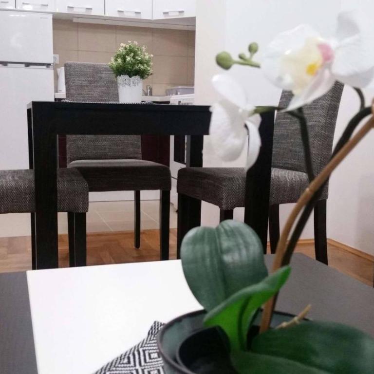 Apartman Jovanka 1 - Apartman sa 1 Spavaćom Sobom - 33