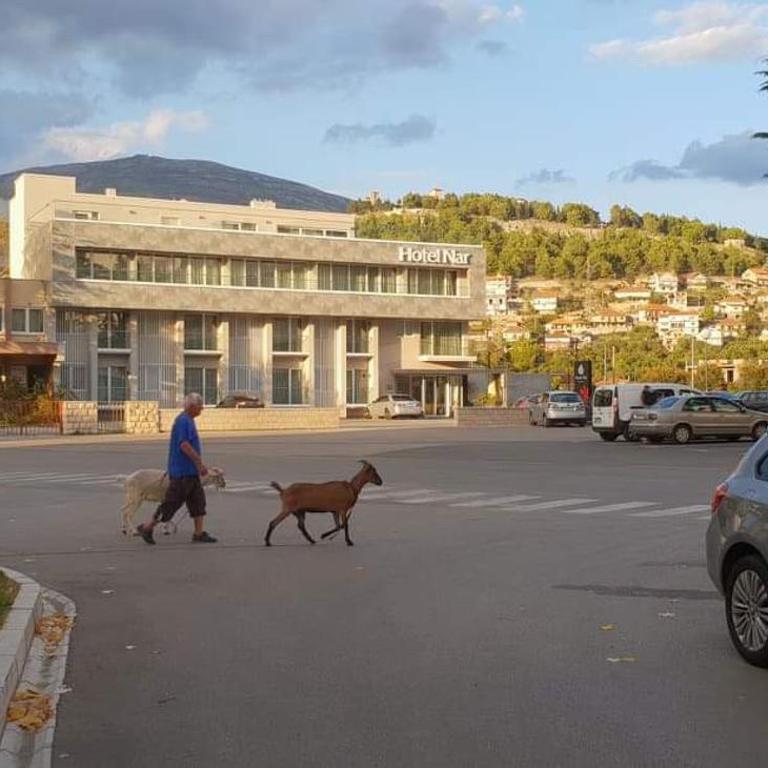 Apartman Jovanka 1 - Apartman sa 1 Spavaćom Sobom - 26