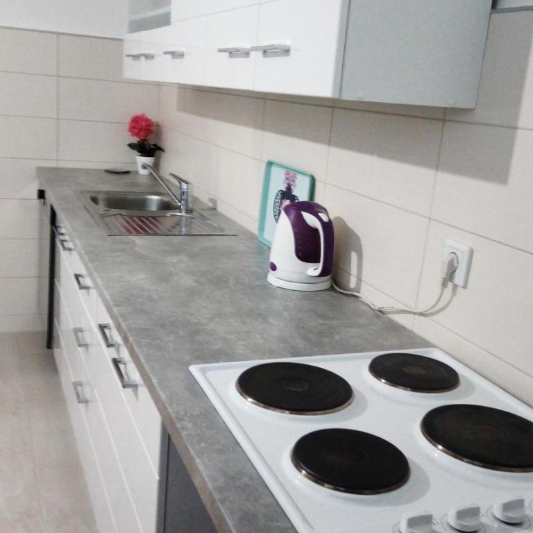 Apartment Wills - Grbavica - Two-Bedroom Apartment - 4