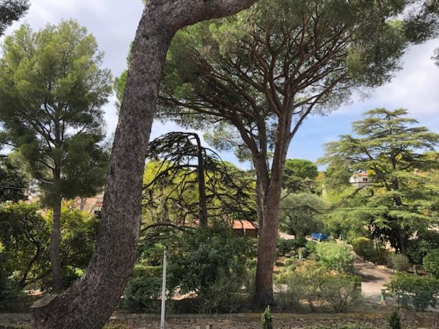 Le Canaillou par Dodo-a-Cassis - Appartement 3 Chambres - 10