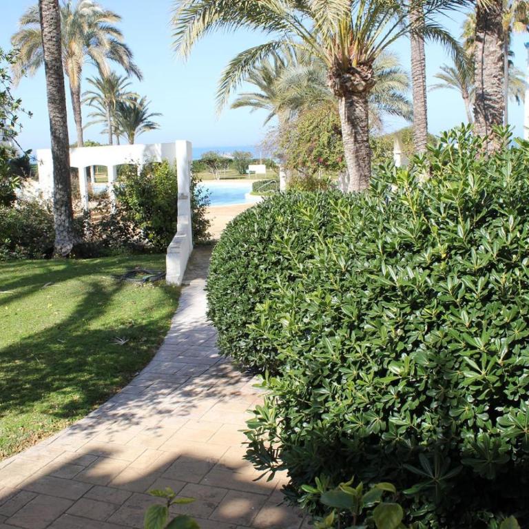 185 Alberca - Deniasol - Apartamento - Planta baja - 18