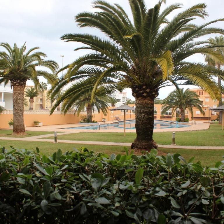 187 Palm Beach - Deniasol - Apartamento de 1 dormitorio - 3