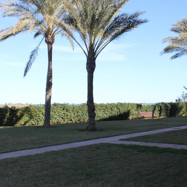 187 Palm Beach - Deniasol - Apartamento de 1 dormitorio - 19
