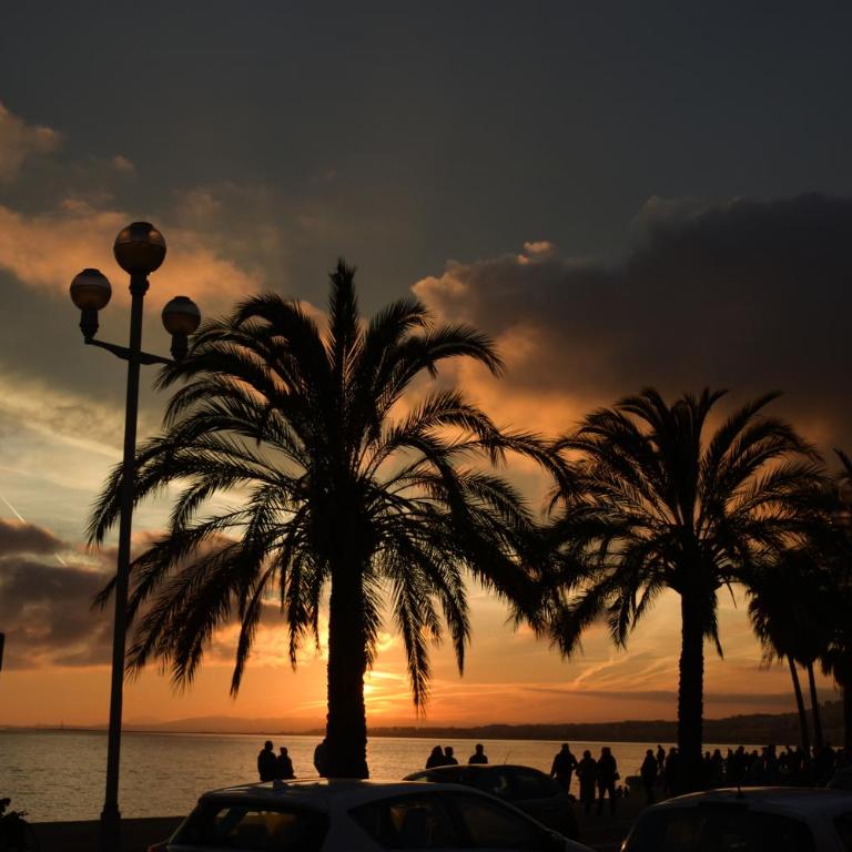 Spacious Luxury apt, 12 min walk to Croisette beach and Conf Centre - Appartement 3 Chambres - 37