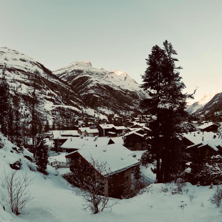 Haus Fleckstein Zermatt Wohnung Karibu - Apartment - Erdgeschoss - 9