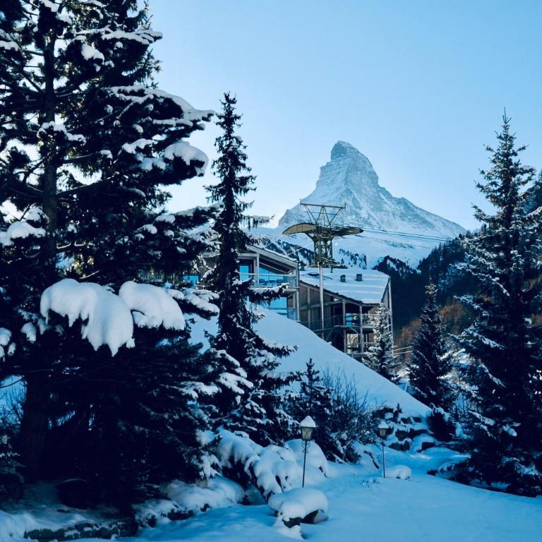Haus Fleckstein Zermatt Wohnung Karibu - Apartment - Erdgeschoss - 13