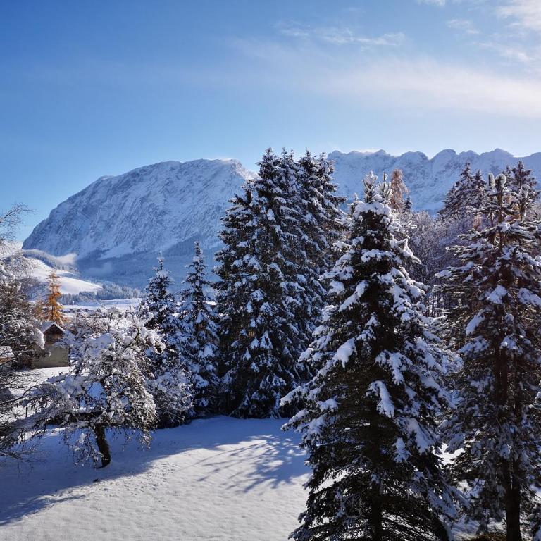 Ferienwohnungen BERGfeeling - Apartment mit Blick auf die Berge - 46