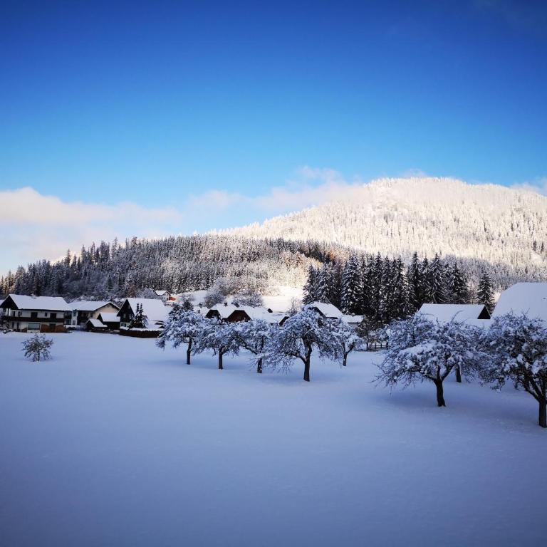Ferienwohnungen BERGfeeling - Apartment mit Blick auf die Berge - 45