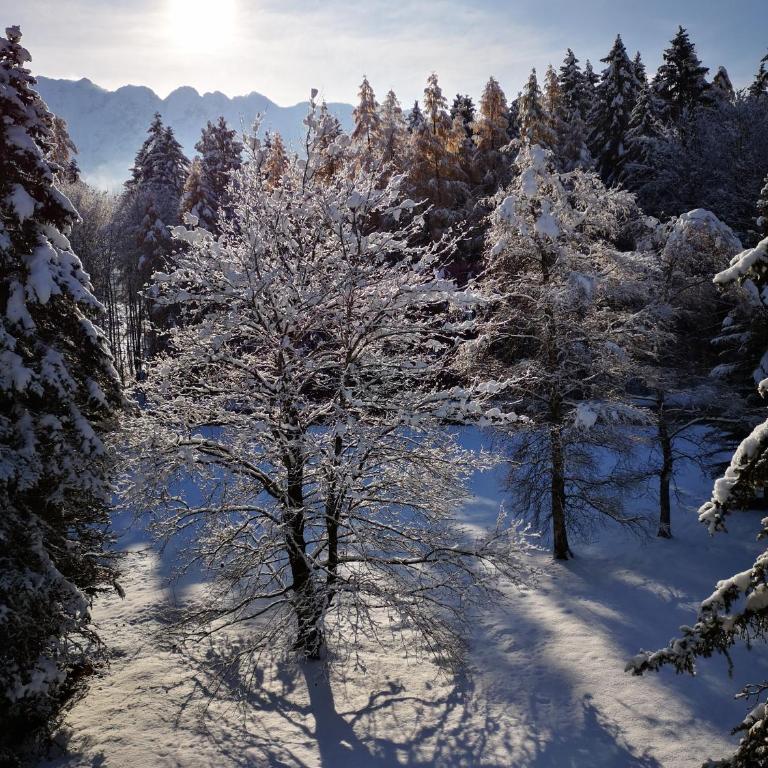 Ferienwohnungen BERGfeeling - Apartment mit Blick auf die Berge - 47