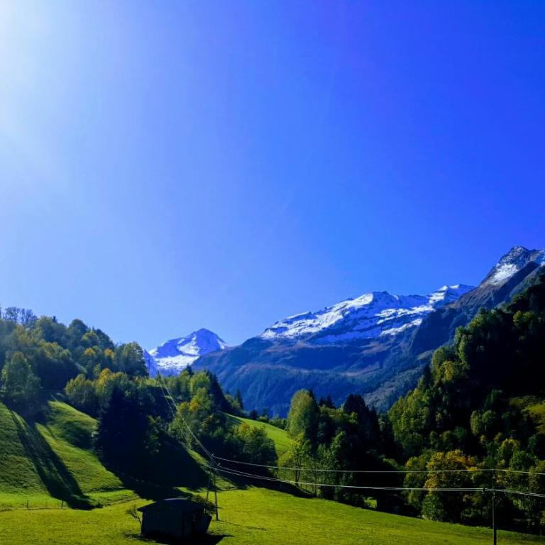 Ferienwohnung Seidl Top 1 - Apartment mit 2 Schlafzimmern - 2