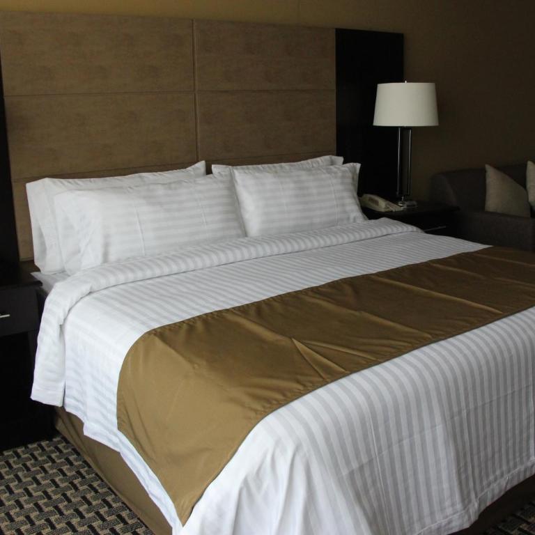 Holiday Inn Mexico Santa Fe by IHG - Habitación Premium con cama extragrande - 2