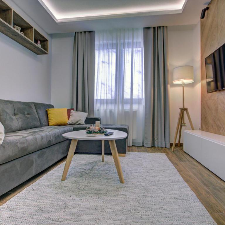 Alpin Apartments Jahorina - One-Bedroom Apartment - 11