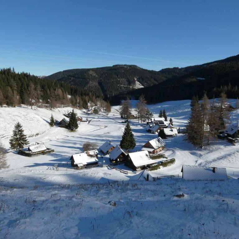 Seebergalmhütte - Apartment mit 1 Schlafzimmer - 28