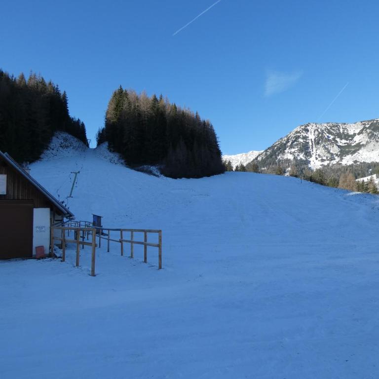 Seebergalmhütte - Apartment mit 1 Schlafzimmer - 31
