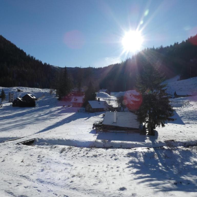 Seebergalmhütte - Apartment mit 1 Schlafzimmer - 22