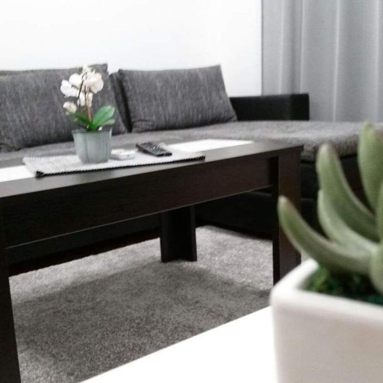 Apartman Jovanka 1 - Apartman sa 1 Spavaćom Sobom - 6