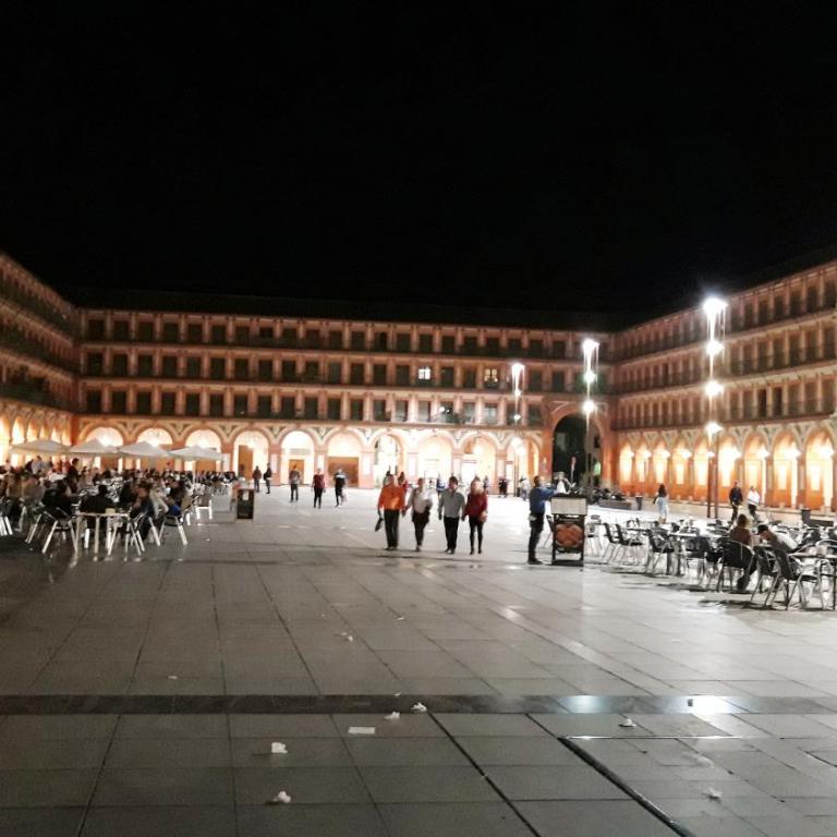 San Pedro Parking Gratis Coche Mediano - Apartamento de 2 dormitorios - 16