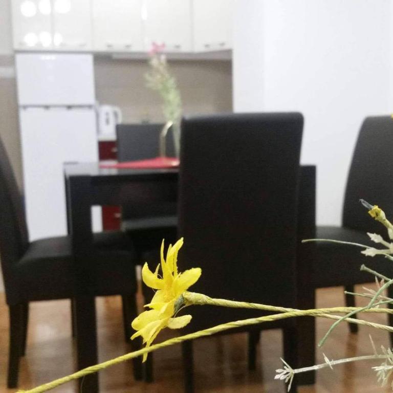 Apartman Jovanka 2 - Apartman sa Balkonom - 18