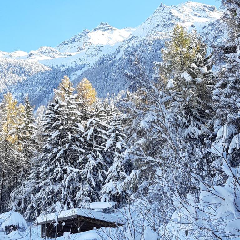 Chalet Sven & Marc Grächen, Niedergrächen Vallis - Haus mit 4 Schlafzimmern - 55