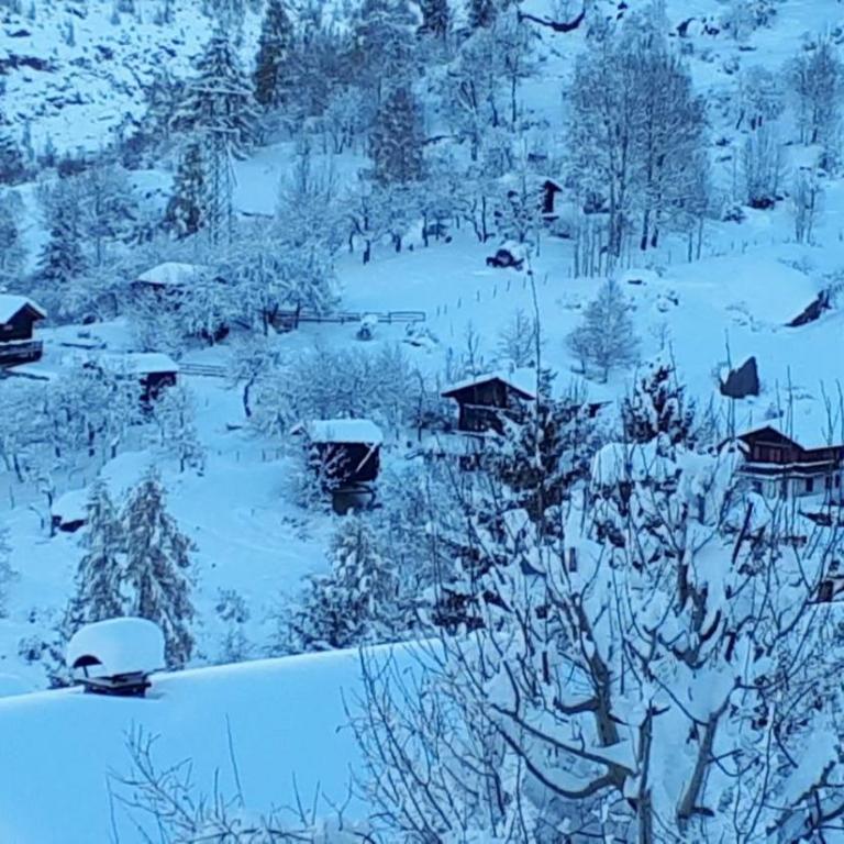 Chalet Sven & Marc Grächen, Niedergrächen Vallis - Haus mit 4 Schlafzimmern - 41