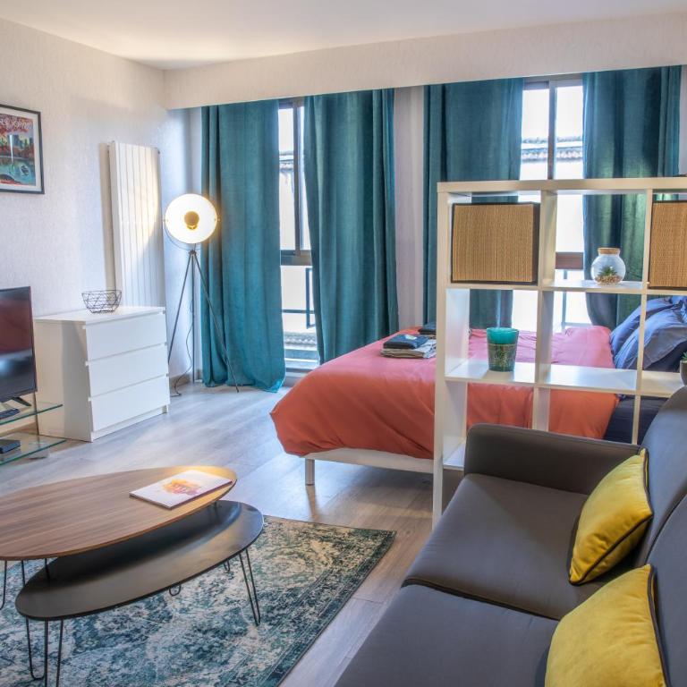 Grand Studio Stan Nancy - calme, cosy, lumineux - Appartement 1 Chambre - 1