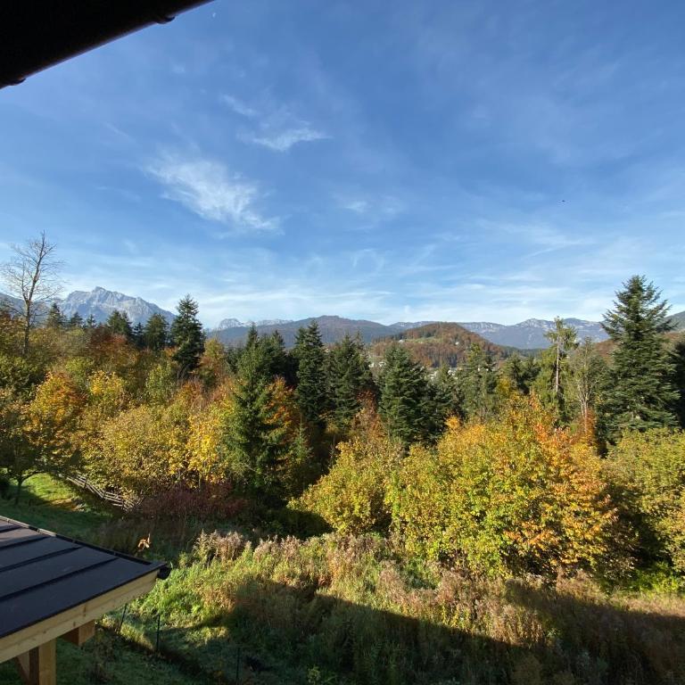 FeWo Waldkauz - Apartamento de 1 dormitorio - 23