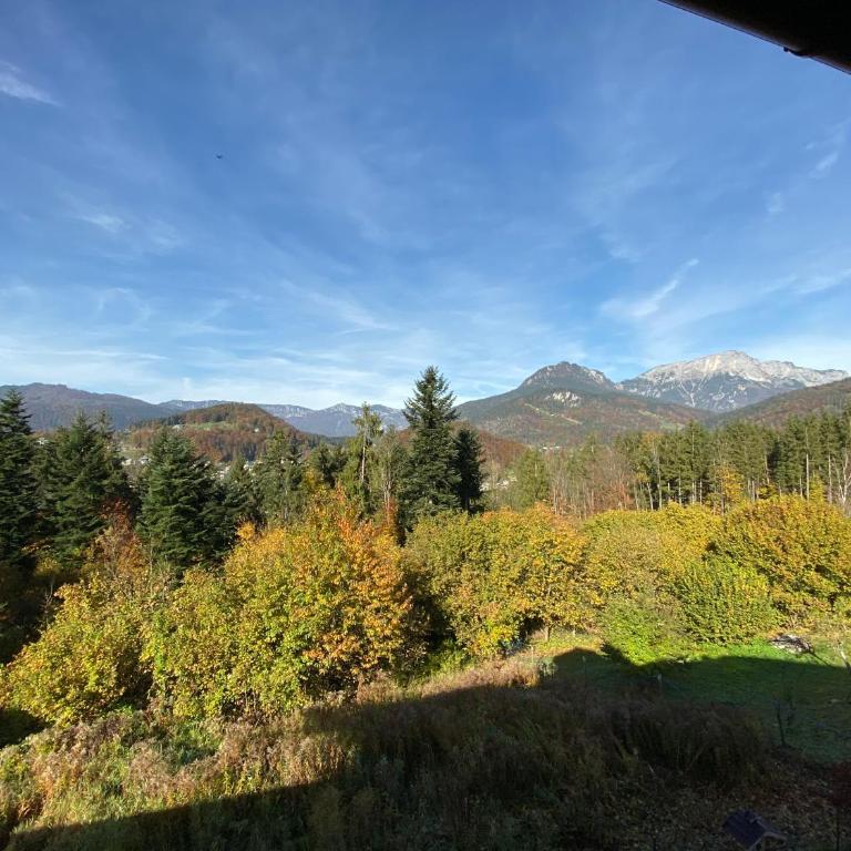 FeWo Waldkauz - Apartamento de 1 dormitorio - 24