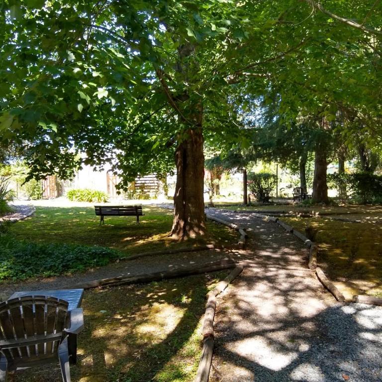 Ruca Lemu - Bungalow (2 adultos) - 21
