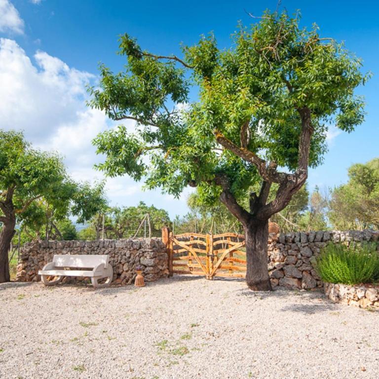 Finca Caseta Son Morro - Villa with Private Pool - 24
