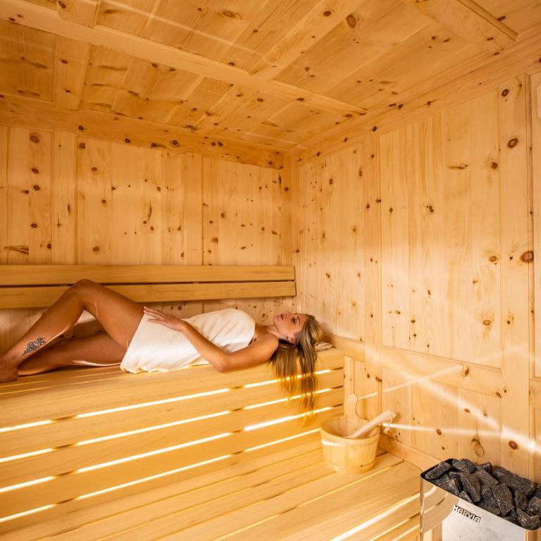 Luxury Wellness Lusiaski - Chalet Superior - 38