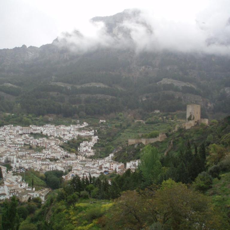 VFT Castillo de la Yedra - Apartamento de 1 dormitorio - 2