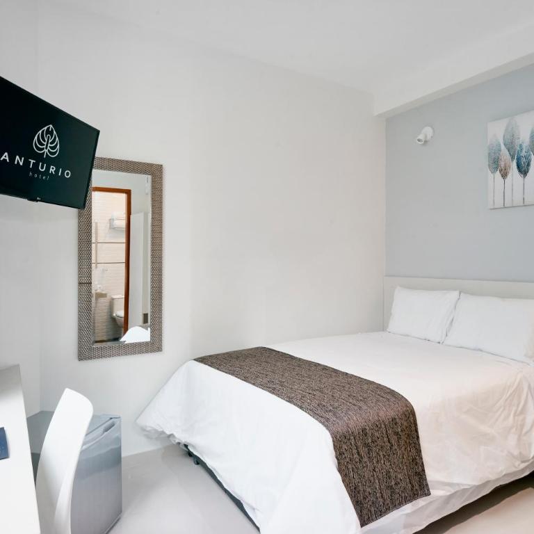 Anturio Hotel - Single Room - 2