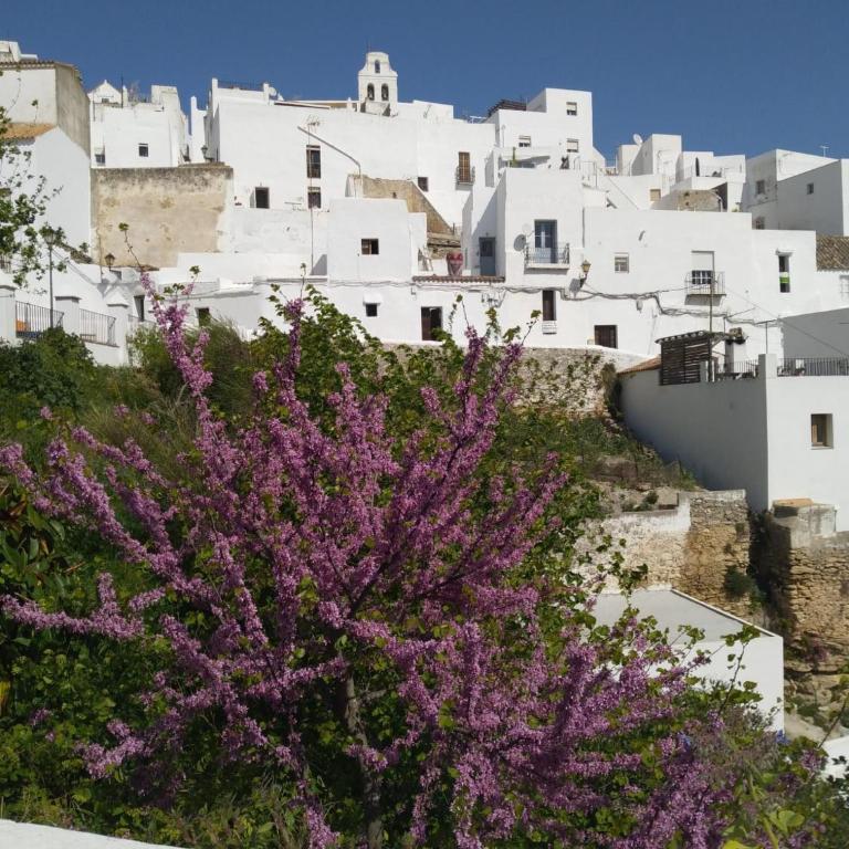 miCasa im Zentrum von Vejer - Apartamento con terraza - 13