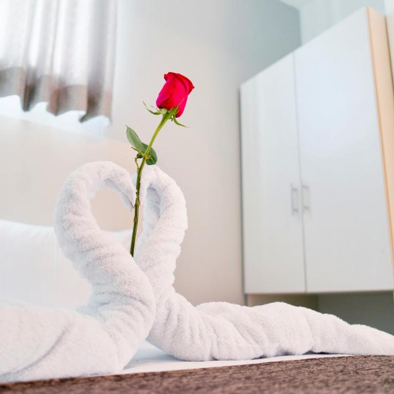 Anturio Hotel - Double Room - 5