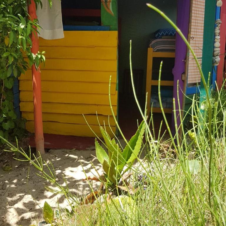 Ajo Aloha Hostel - Bed in 4-Bed Mixed Dormitory Room - 3