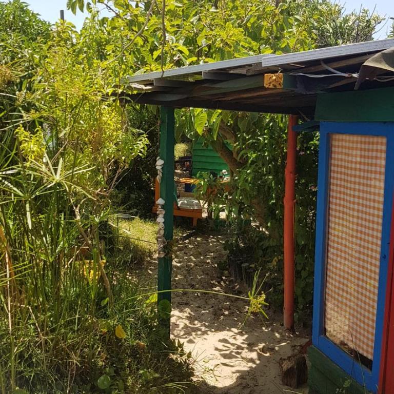 Ajo Aloha Hostel - Bed in 4-Bed Mixed Dormitory Room - 4
