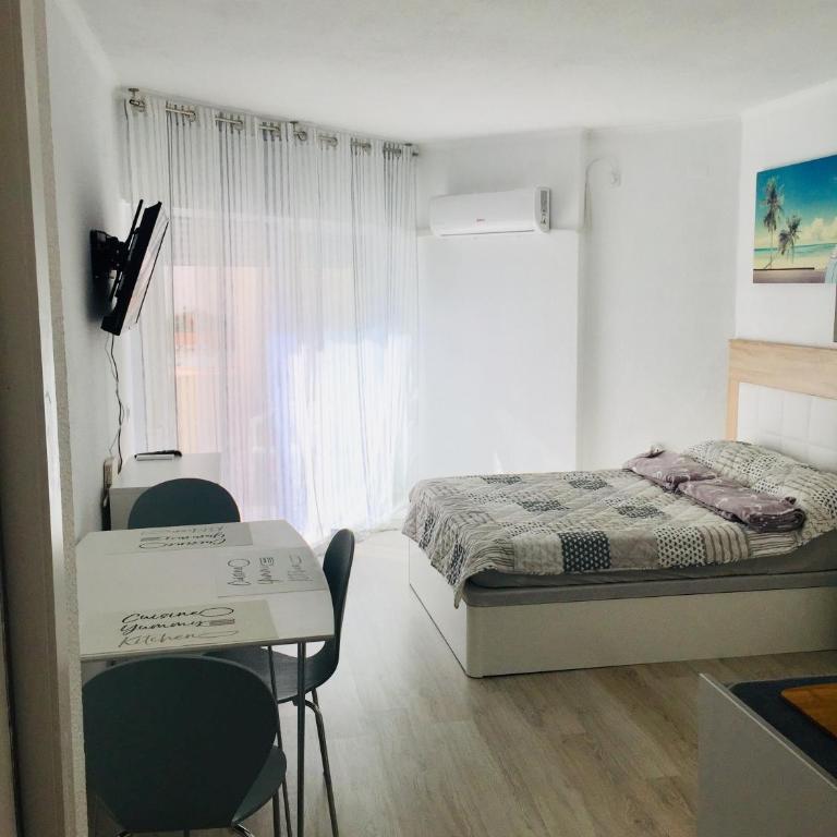 Estudio Habaneras,38 p 103 - Estudio con vistas a la piscina - 10