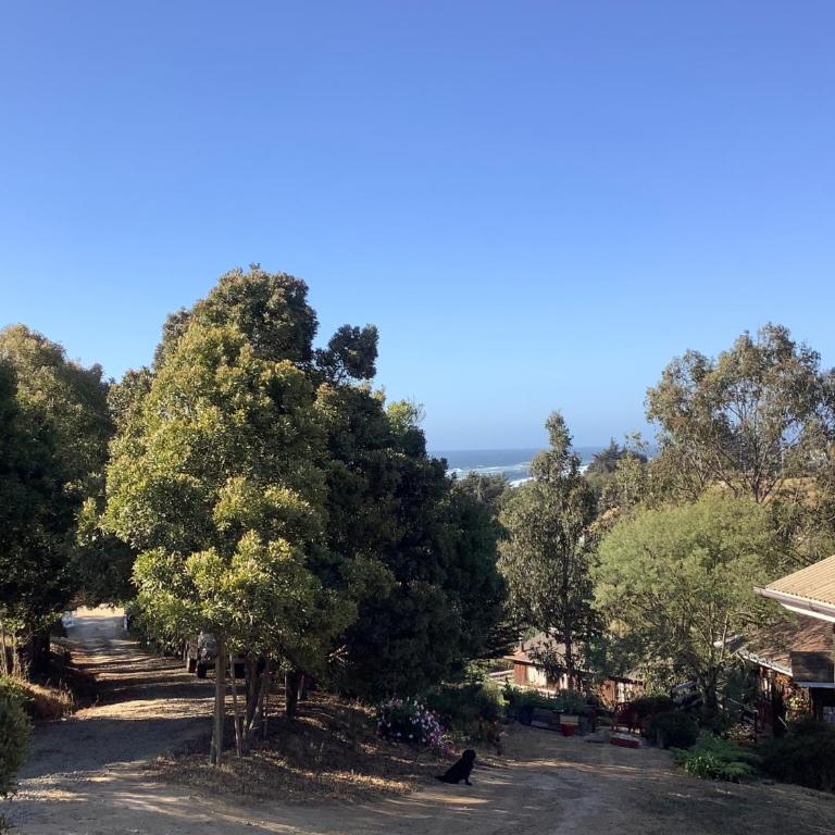 Lomita Quebrada - Bungalow de 1 dormitorio (2 adultos) - 7