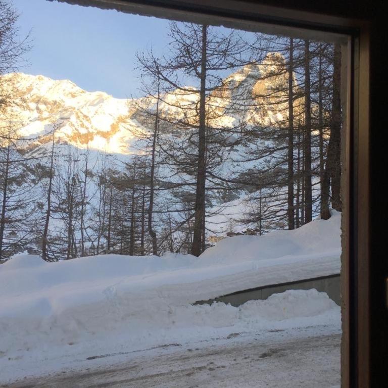 Aroma di Legno e Profumo di Neve - Appartamento con 1 Camera da Letto - 27
