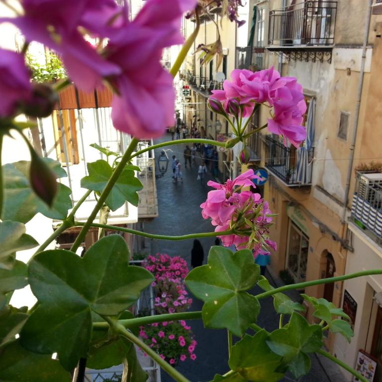 B&B Del Corso - Camera Matrimoniale con Balcone - 6