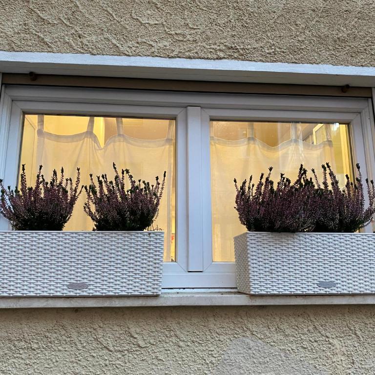 Samy s Home 1 FREE parking Wi-Fi - Apartment mit 2 Schlafzimmern - 22