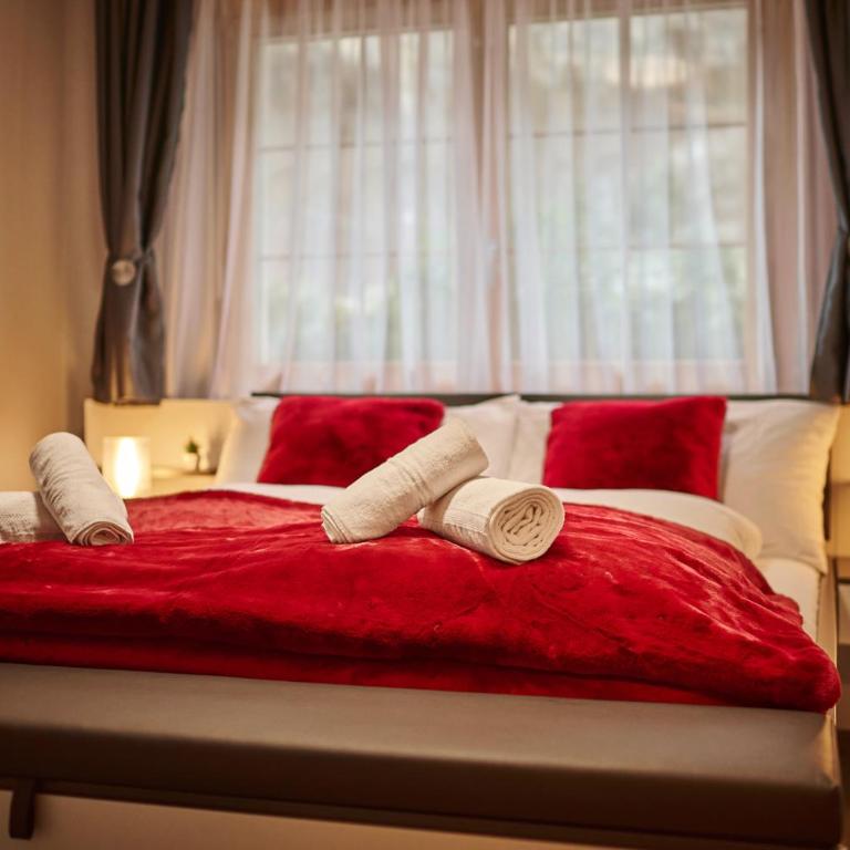 Apartment Breithorn - Charming home - free parking & Wifi - Apartment mit 1 Schlafzimmer - 23